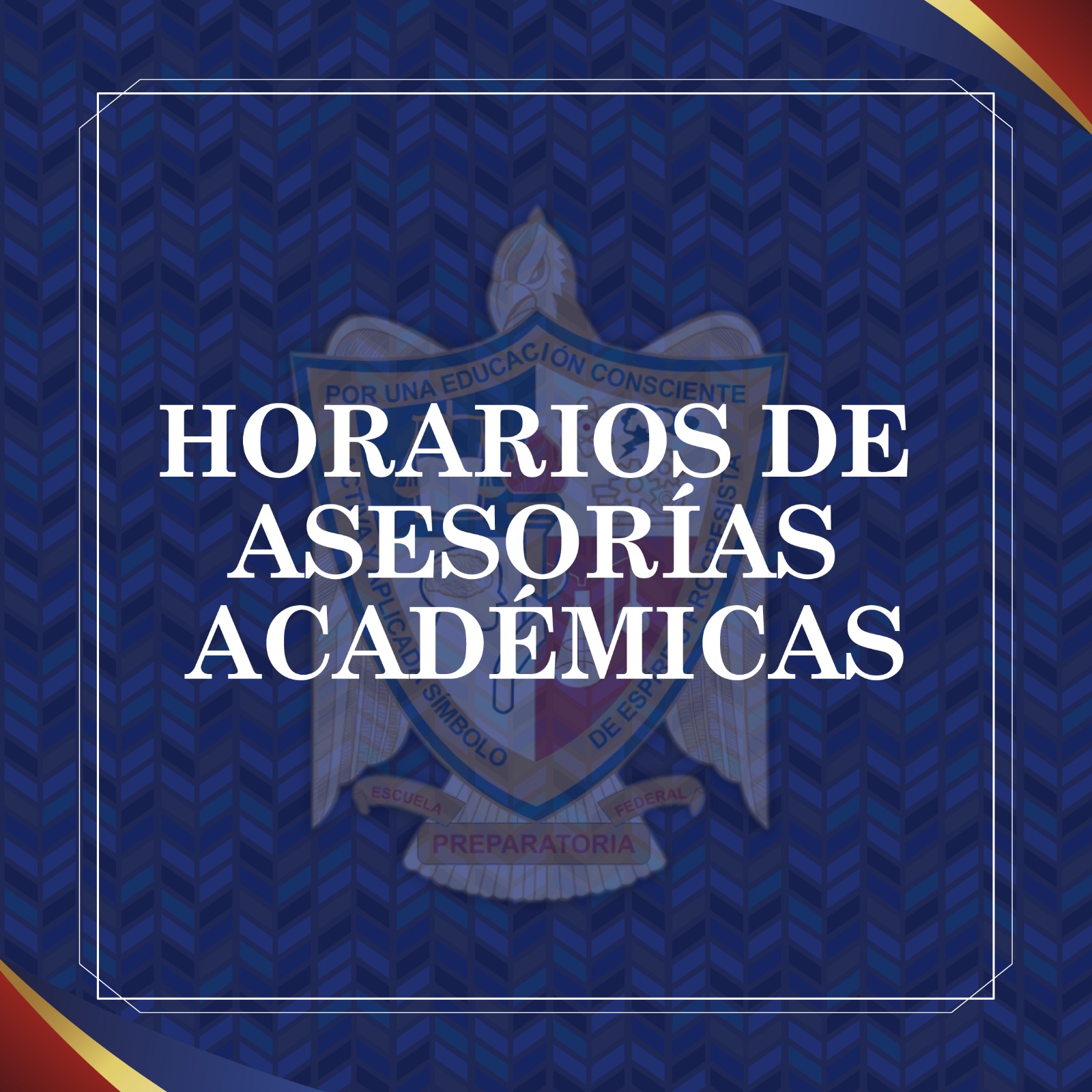 Imagen 7